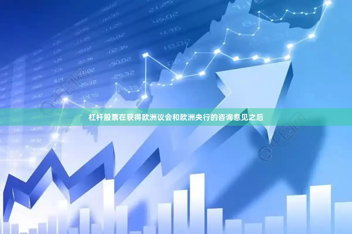 杠杆股票在获得欧洲议会和欧洲央行的咨询意见之后